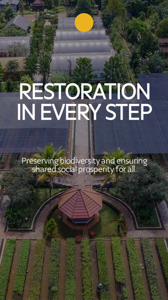 Vale — Restoration in Every Step